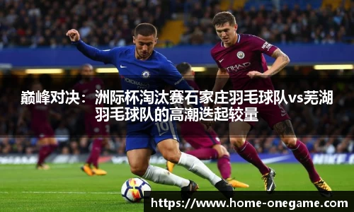 巅峰对决：洲际杯淘汰赛石家庄羽毛球队vs芜湖羽毛球队的高潮迭起较量